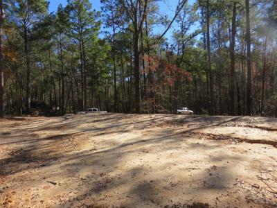 70 Tall Timbers Trail