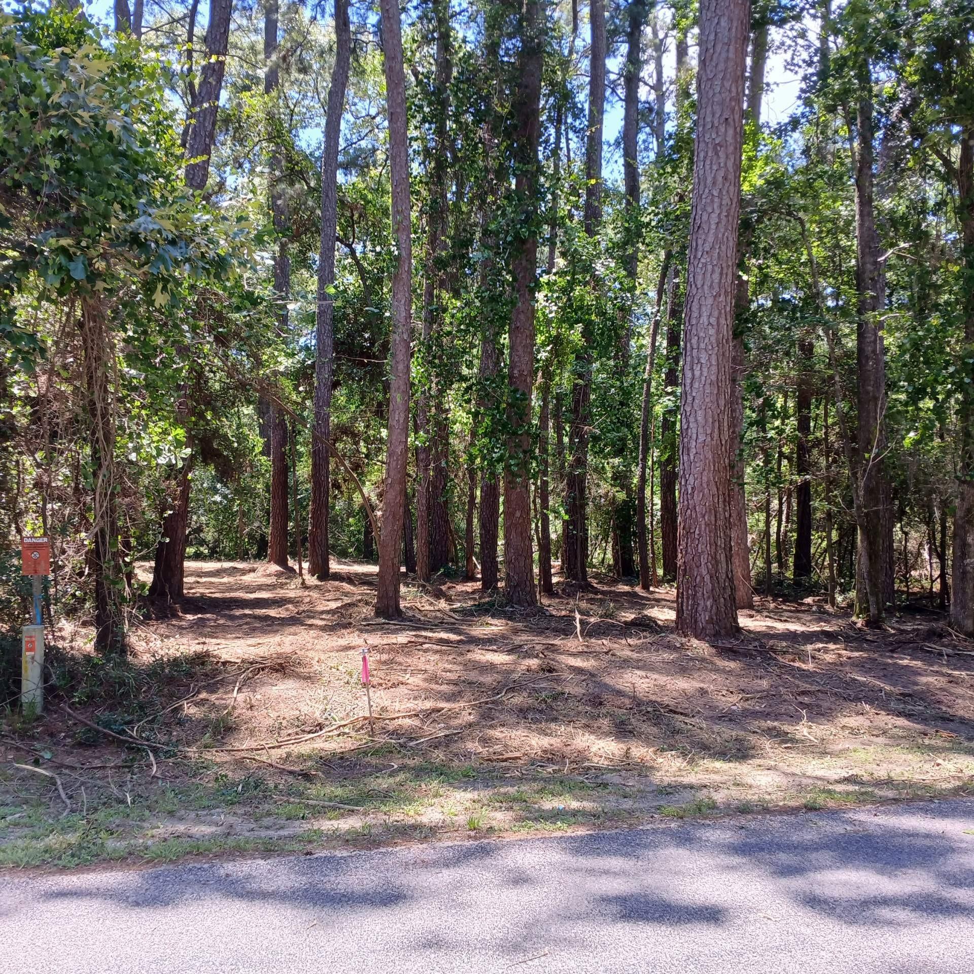 Image 1: Lot has recently been marked and under brushed