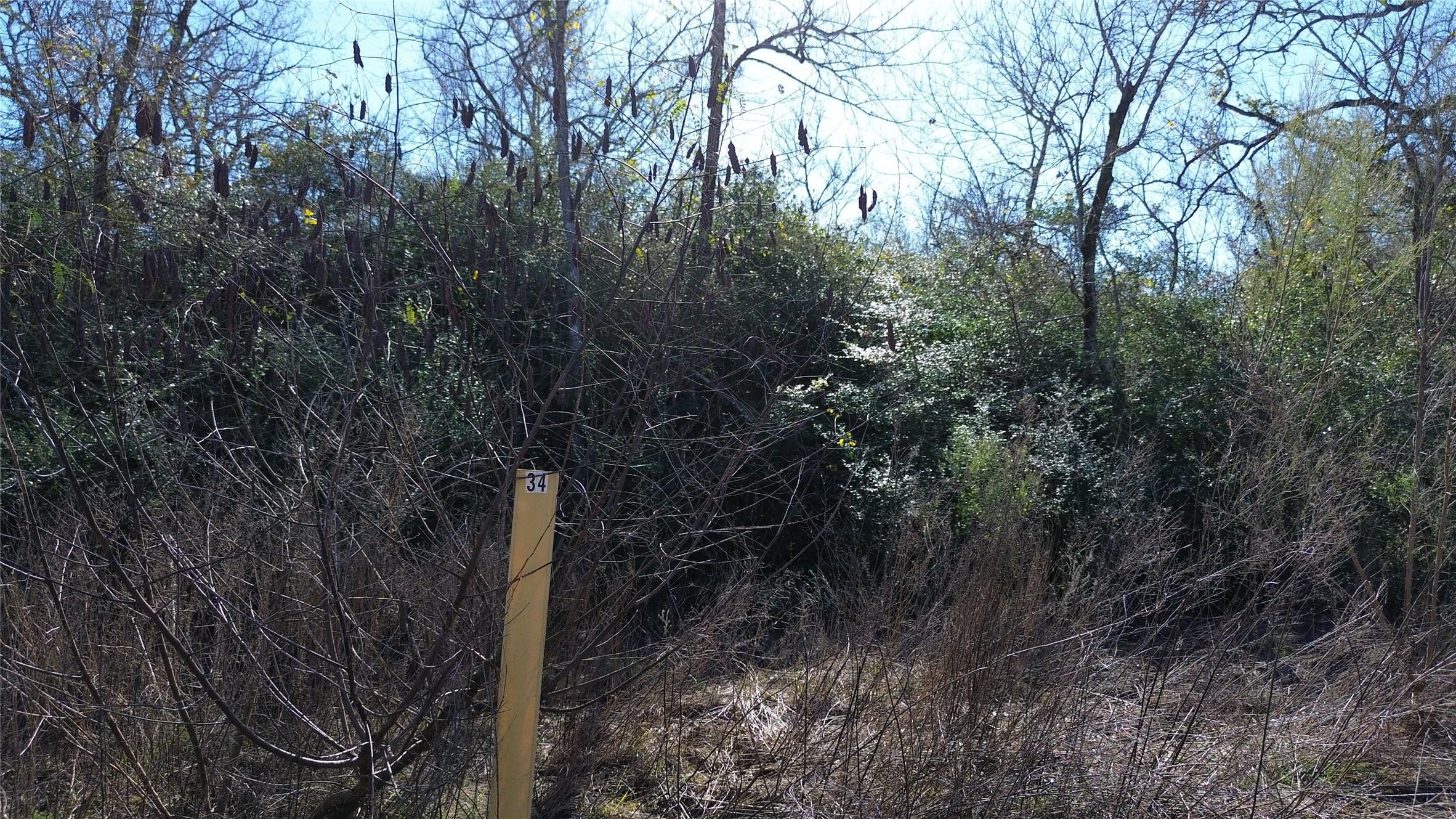Image 2: Lot 34