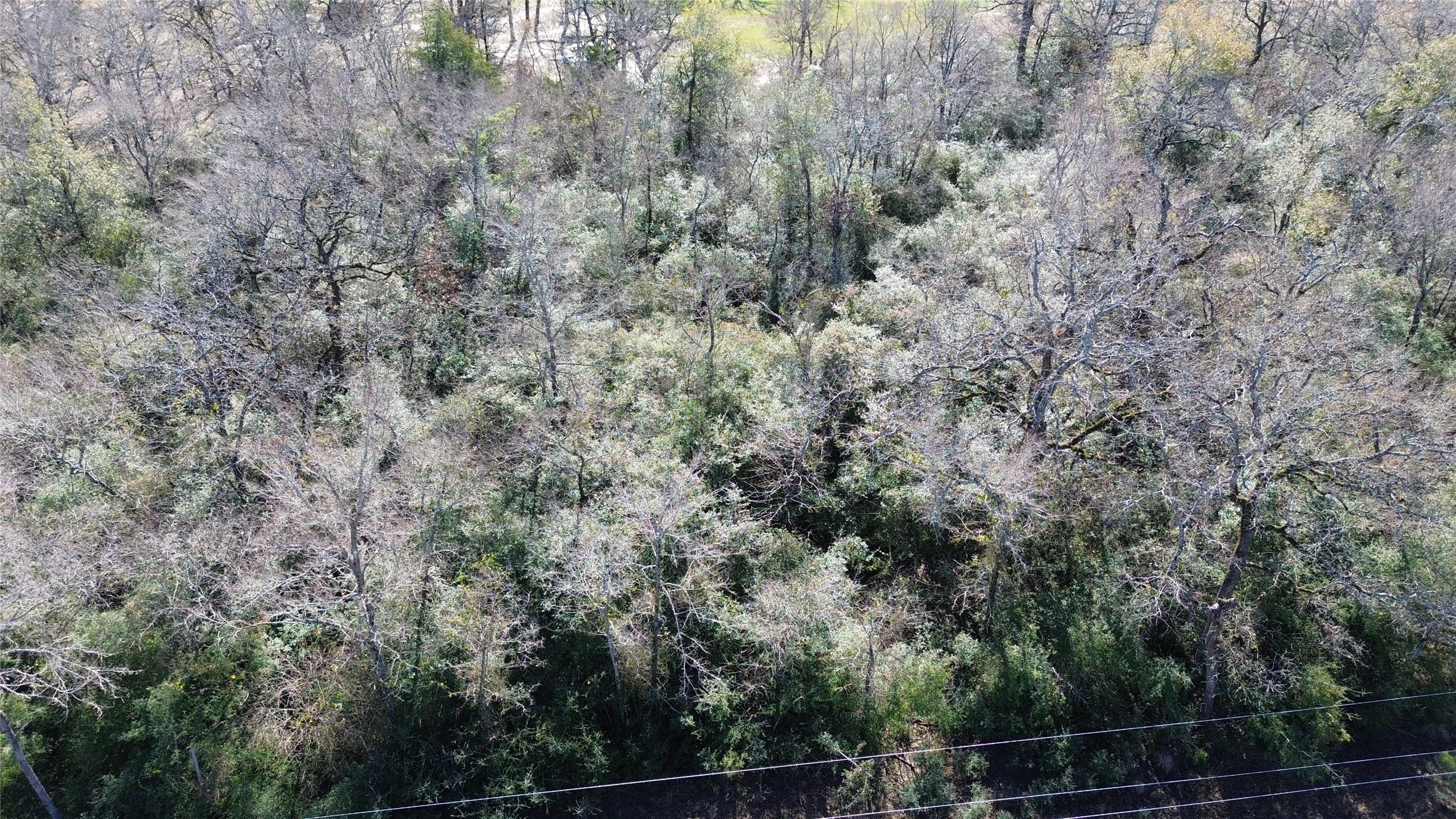 Image 4: Lot 34 Overhead View