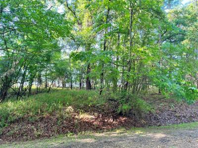 Lot 91 & 92 Timberon Lane