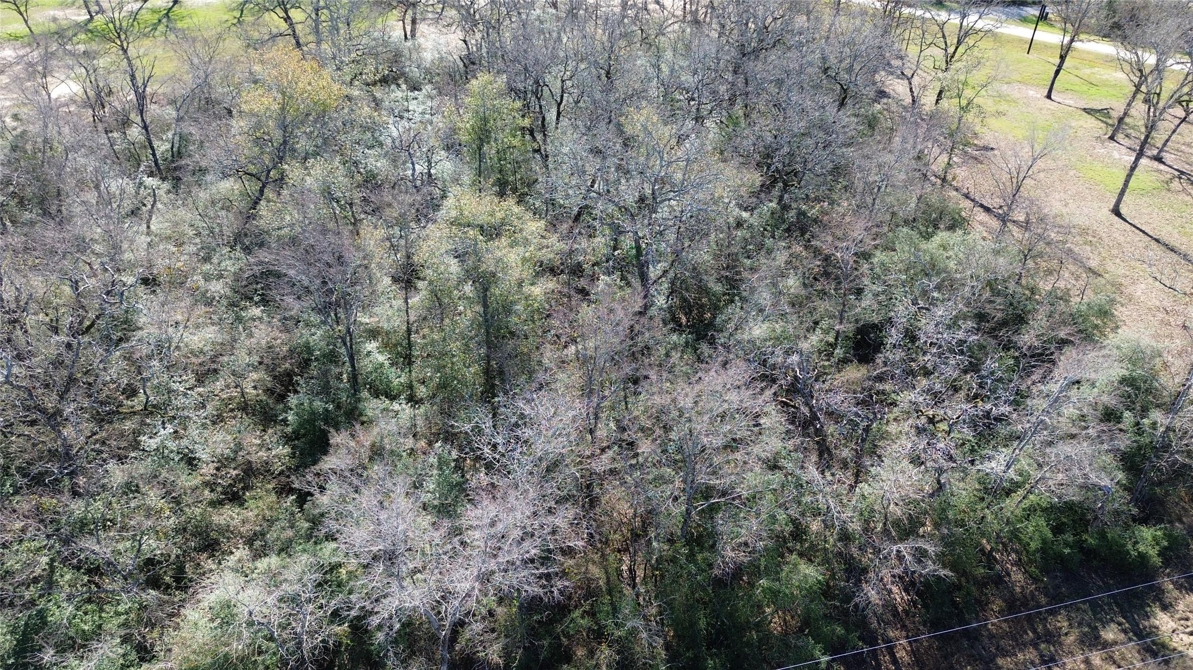 Image 2: Lot 33 Overhead View