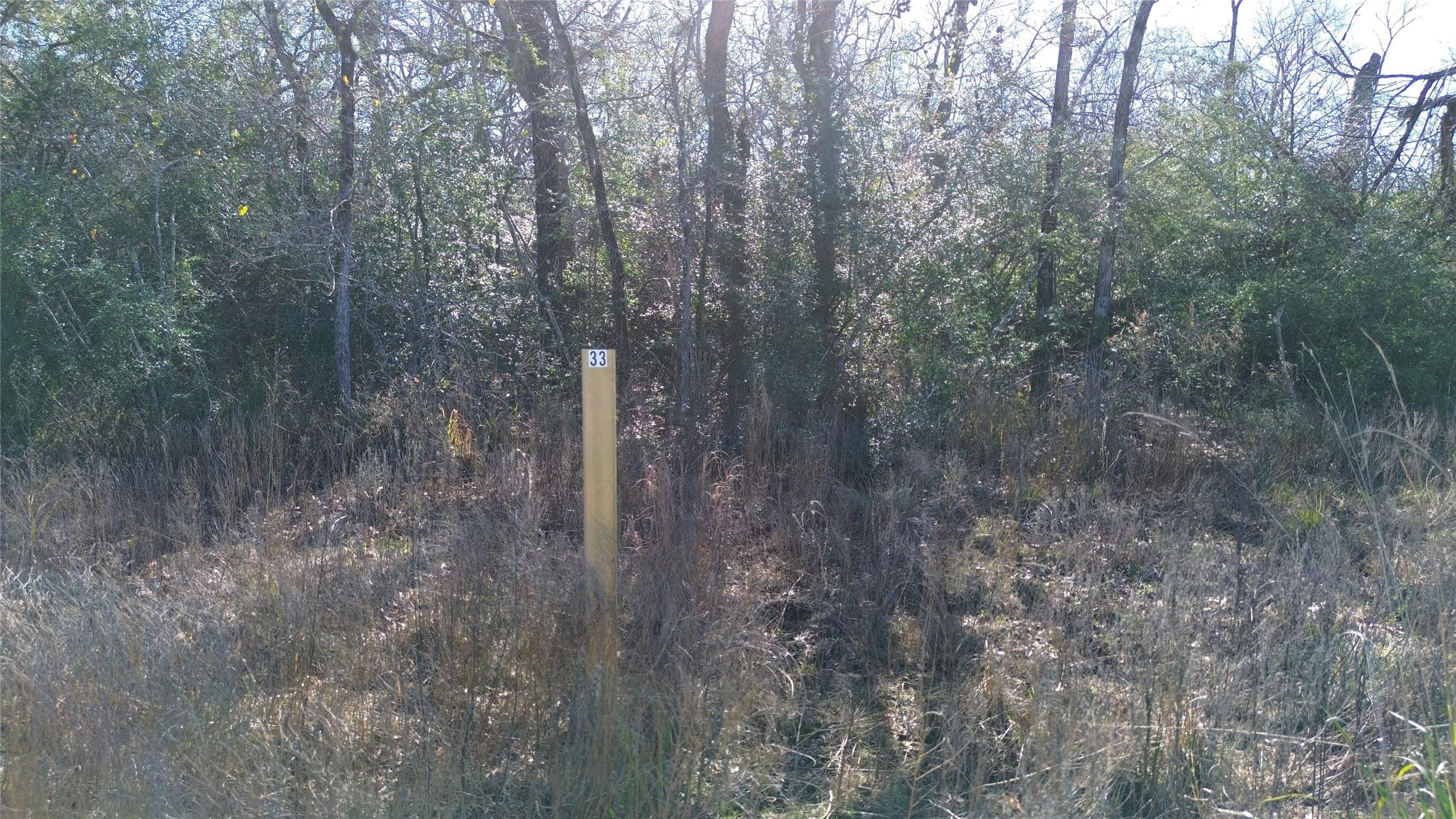 Image 4: Wooded Lot 33