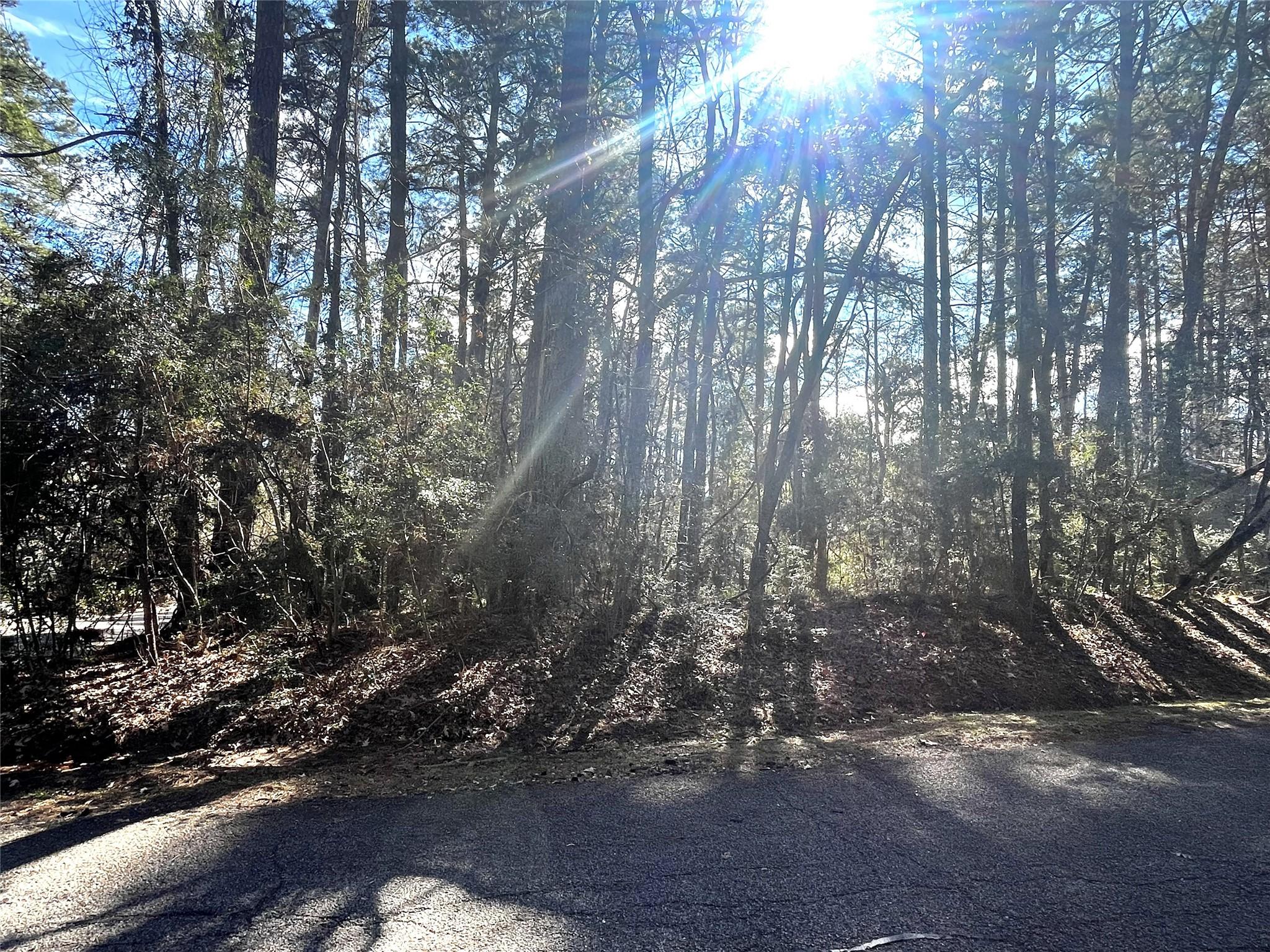 Image 2: 0.1736 acres