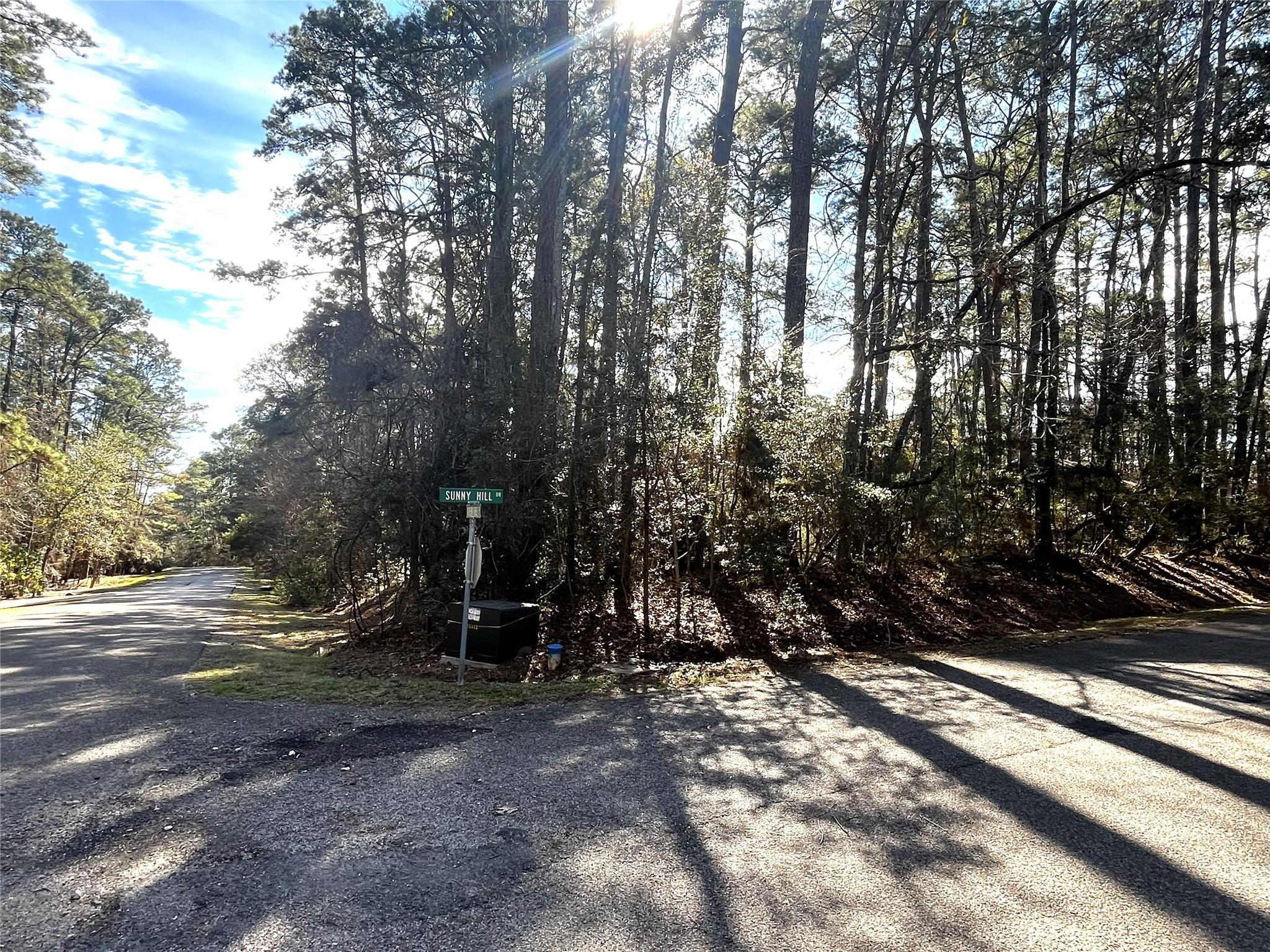 Image 3: Corner lot