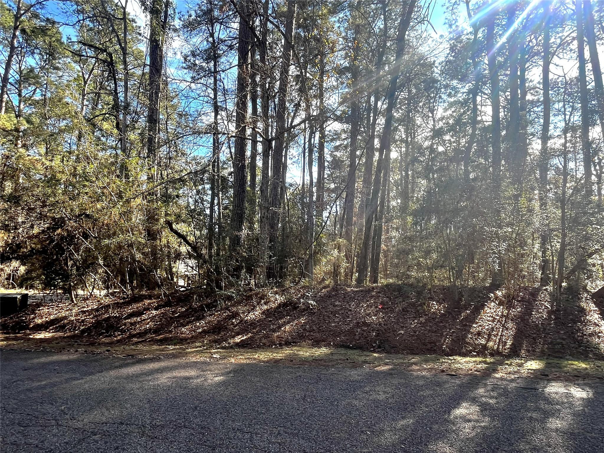 Image 4: Build your lake home here