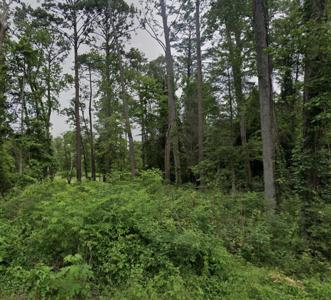 Lot 7 White Oak