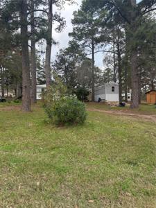 127 Cypress