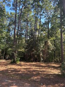 TR 12 Grand Pine Loop