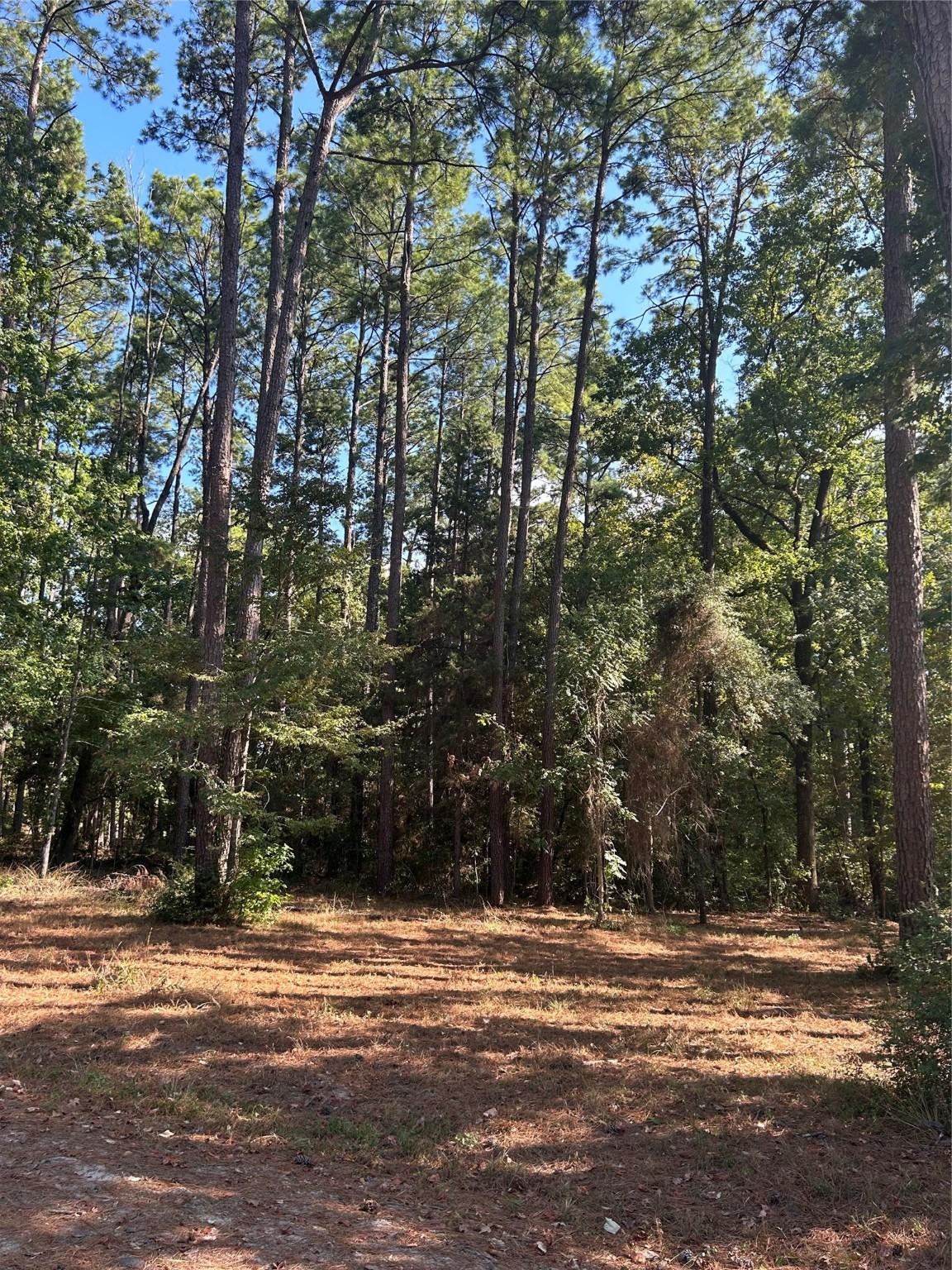 Image 1: Just under two acre tract