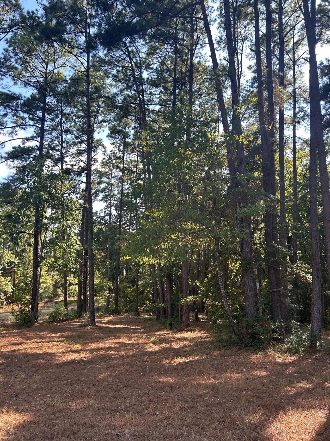 Image 3: Encompasses a natural ravine at the back of the pr