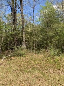 157 Foyt Drive