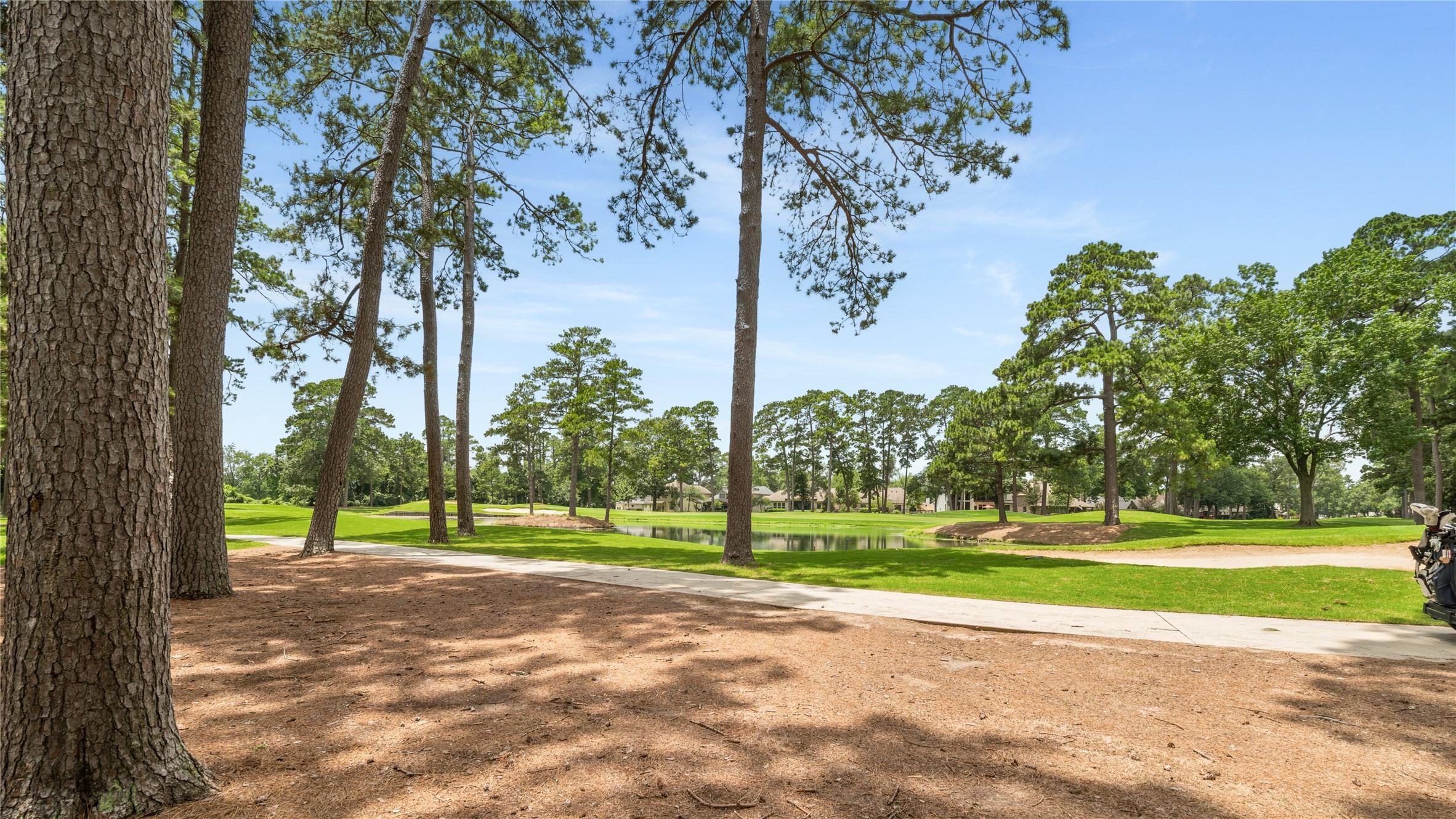 Image 3: From Patio, beautiful view of the cart path