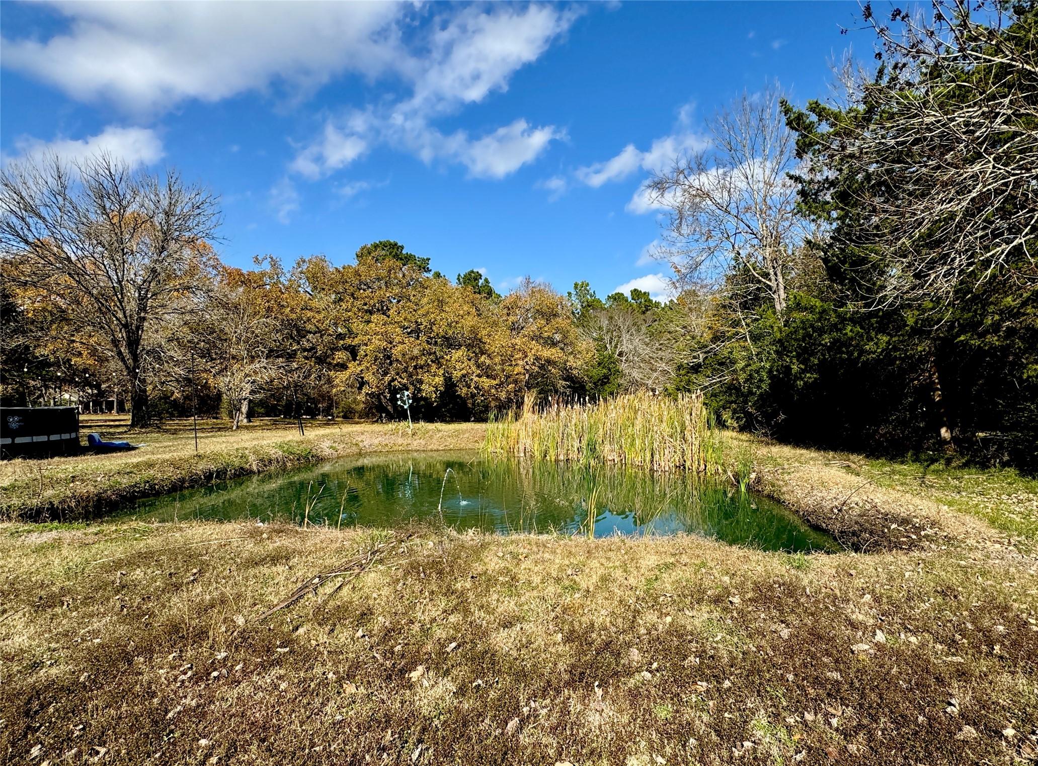 Image 2: If you love nature, this is going to be your home.