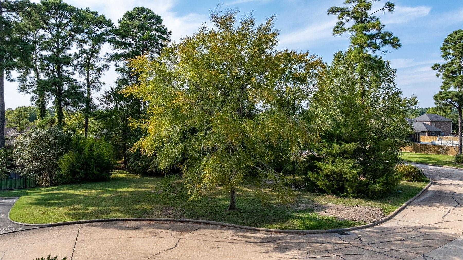 Image 2: Lot view 6 for 15 Stanford Ct.