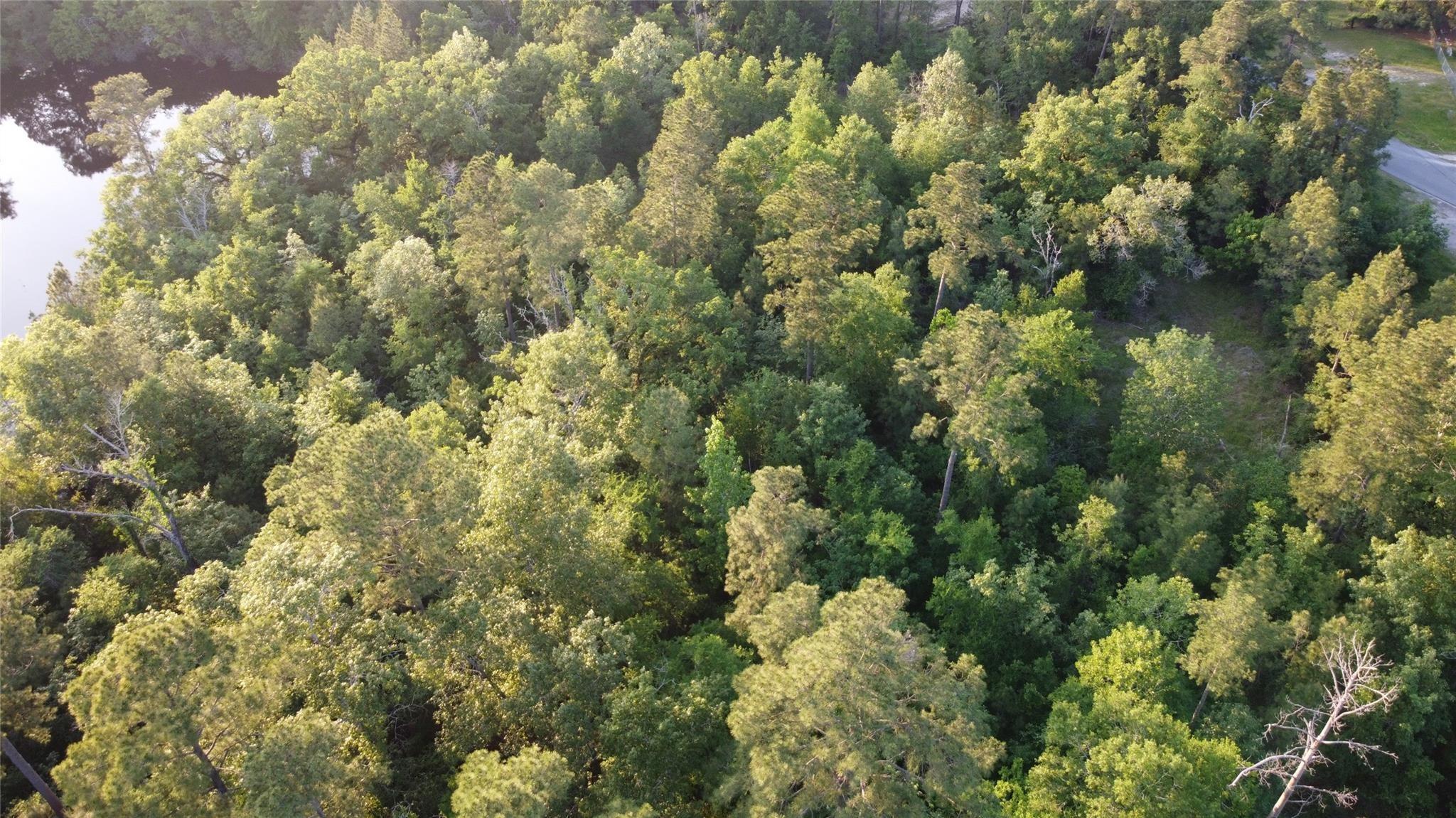 Image 2: Mostly wooded. Perfect for your country home or ju