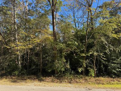 58 N Fairway Loop