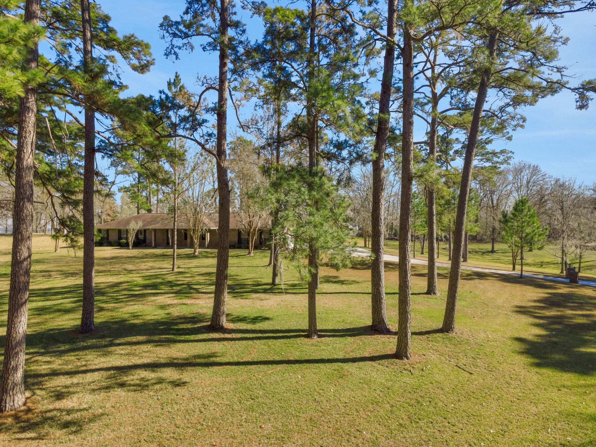 Image 4: Situated on 2.4 acres of peace!