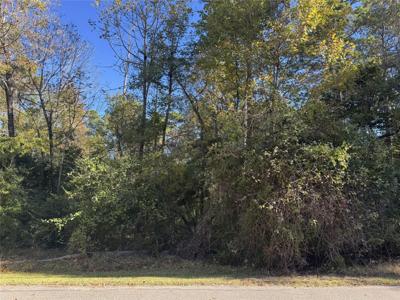 54 N Fairway Loop