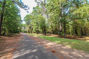 176 Grand Pine Loop