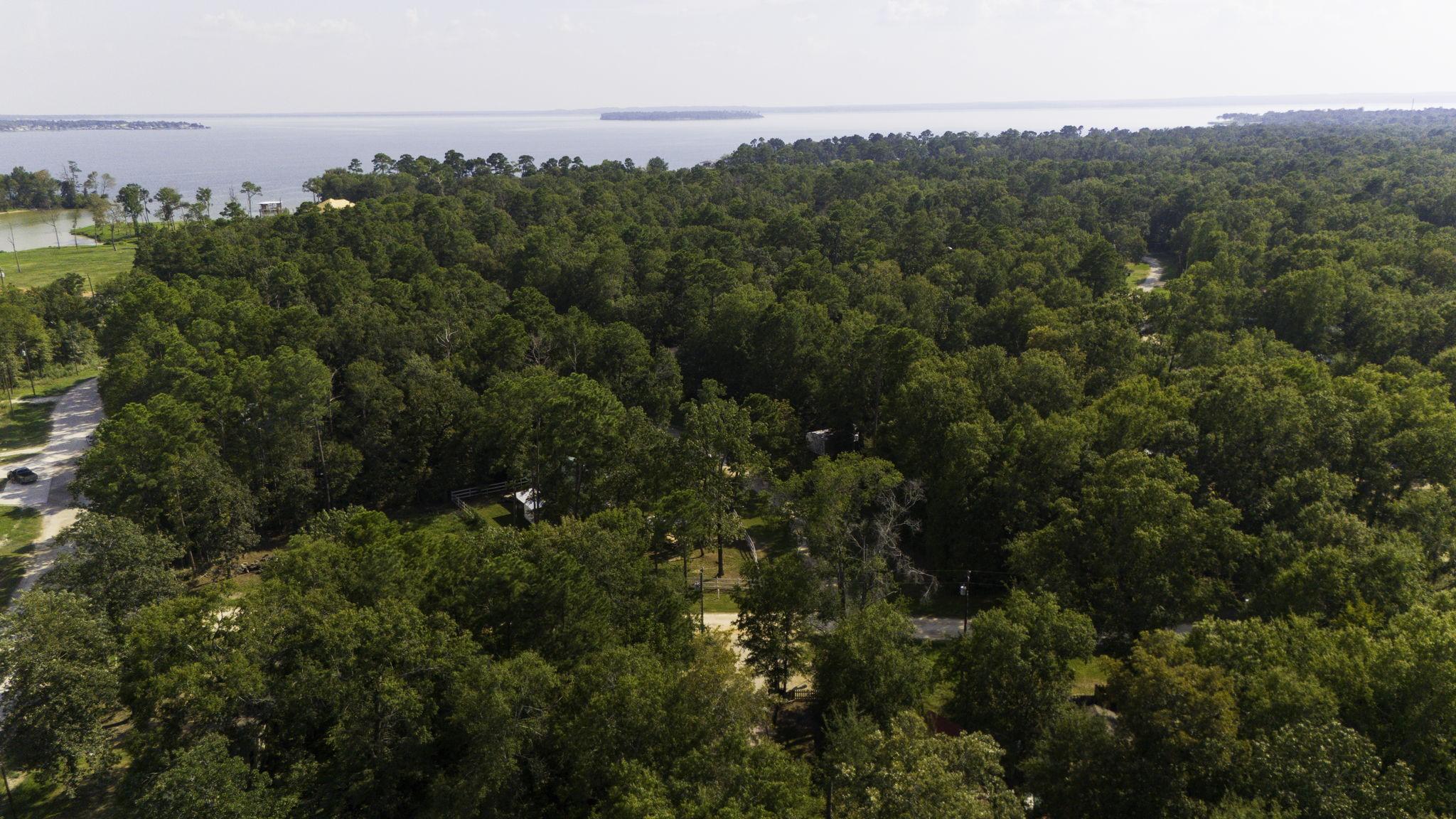 Image 2: Close proximity to Lake Livington!  Public boat ra