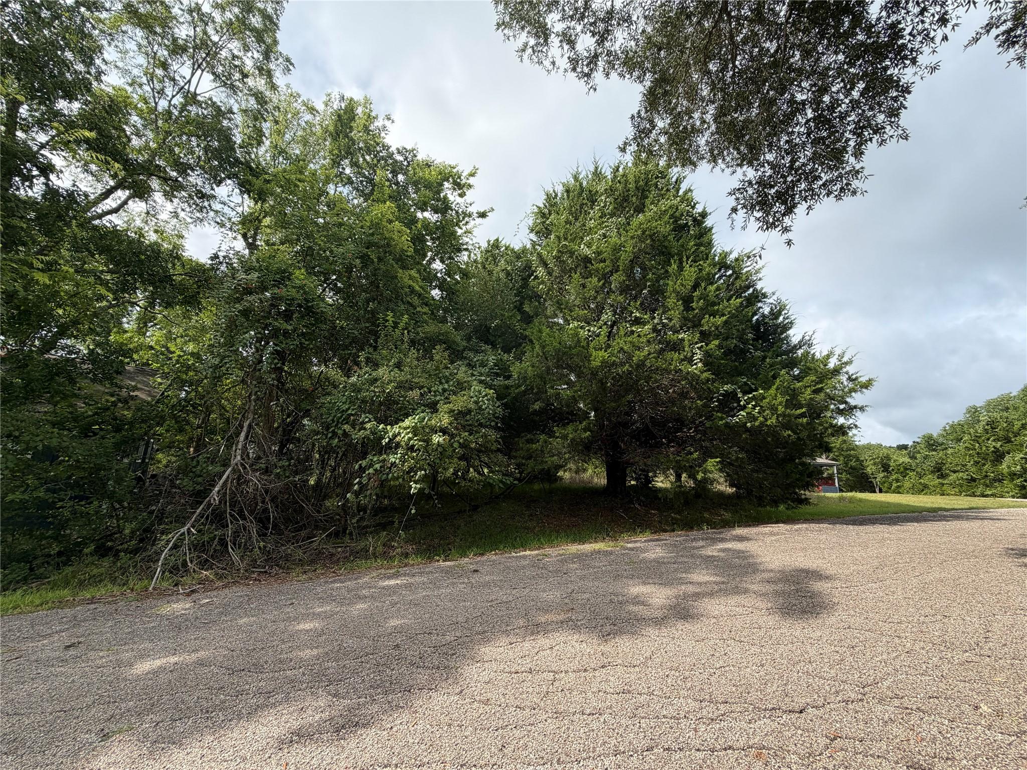 Image 1: Welcome to Timber Cove Lane