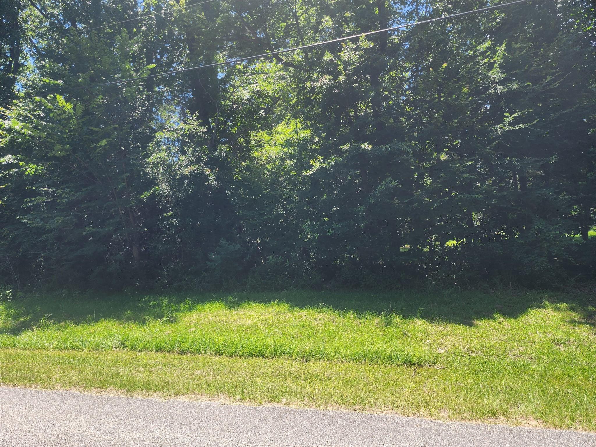Image 1: Front picture of wooded lot near lake livingston