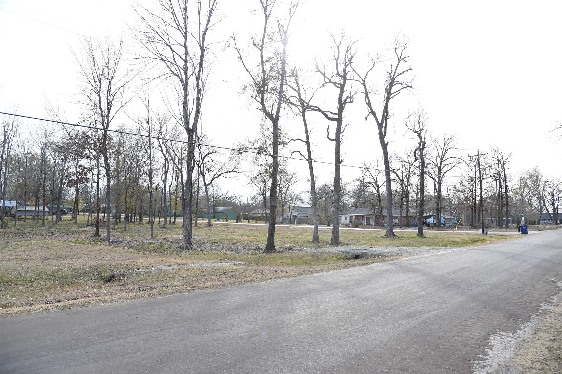 Image 2: View from Big Hawg Drive with Armadillo in the bac