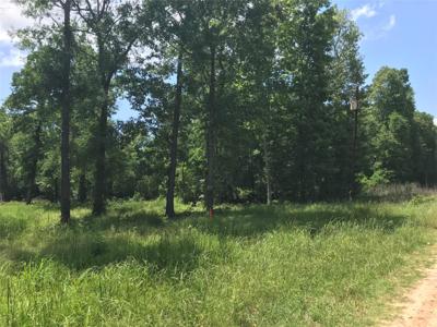 TBD Arrowhead Trail