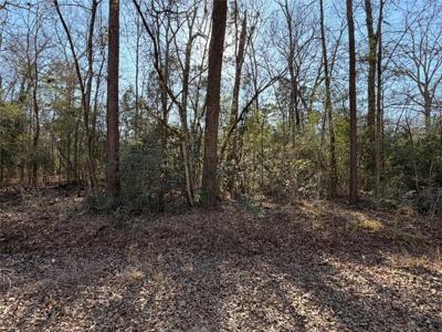 TBD Lazy Oak Drive
