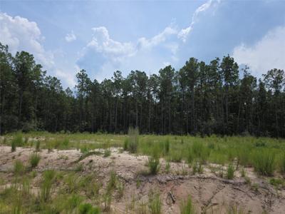 135 Rayburn Reserve Drive