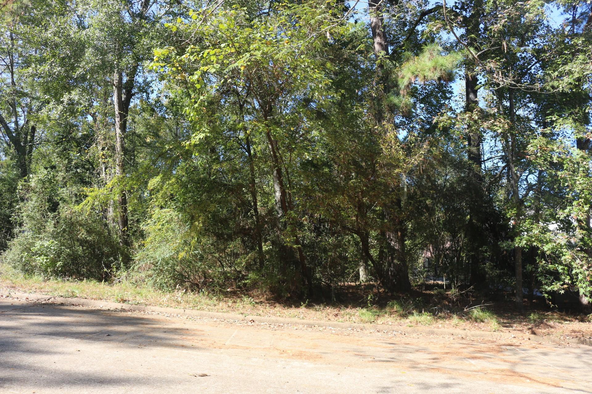 Image 2: This photo shows a wooded lot with dense trees and