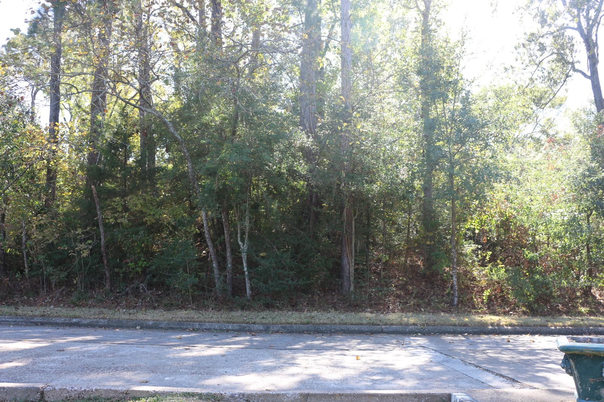 Image 2: This photo shows a wooded area with dense trees an