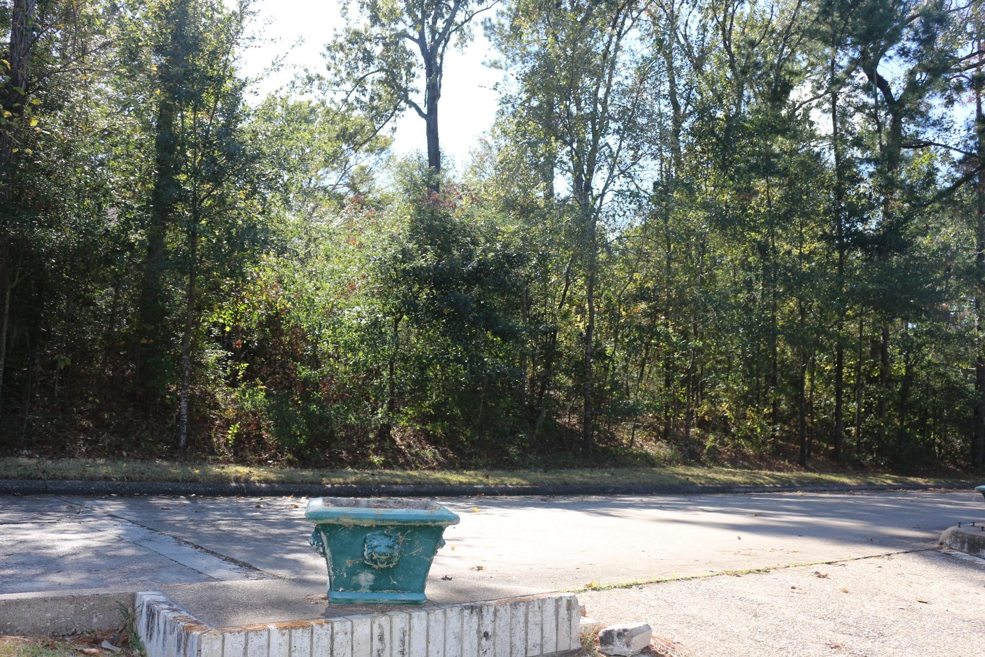 Image 3: This photo shows a wooded area with mature trees l