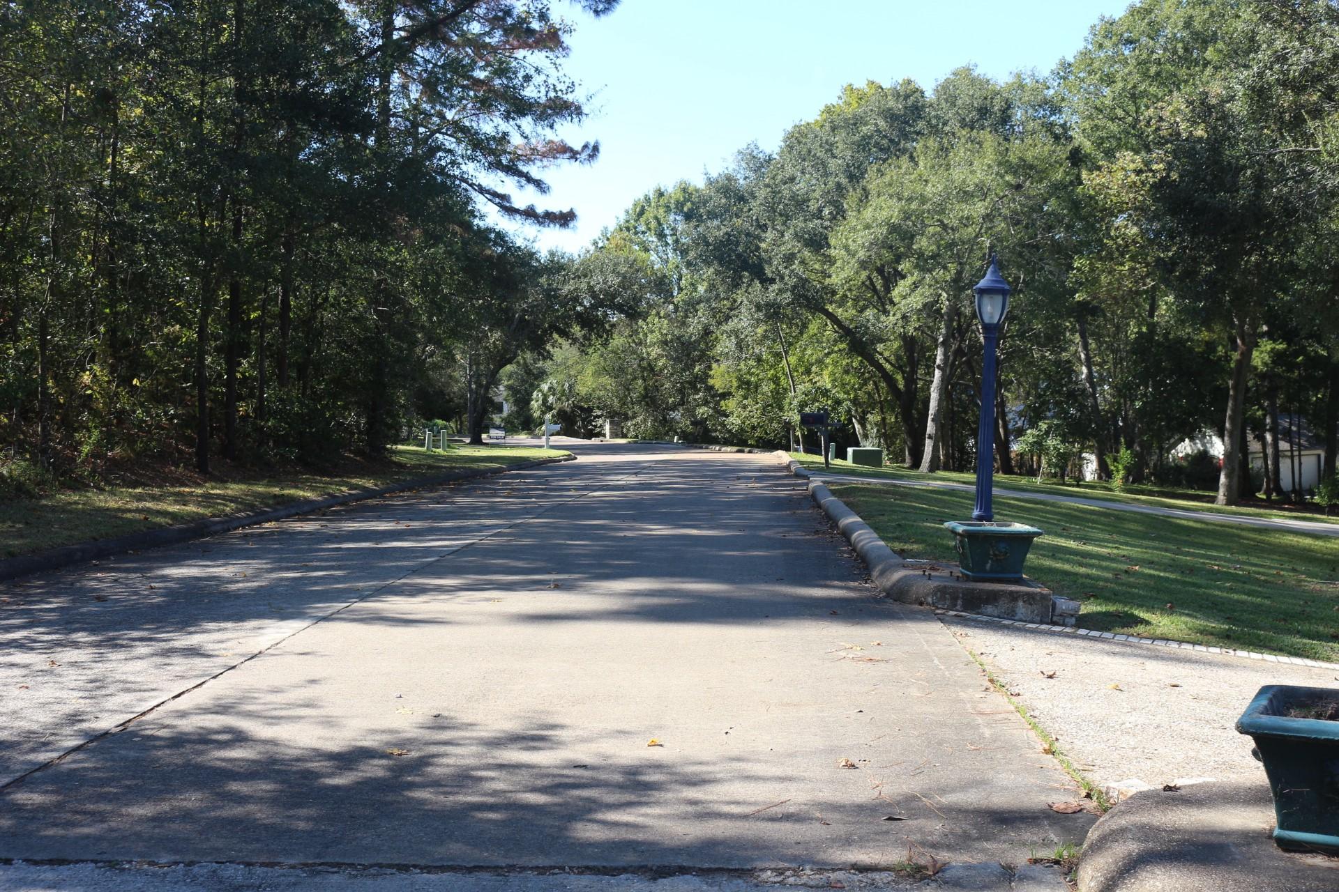 Image 4: This photo shows a quiet residential street lined