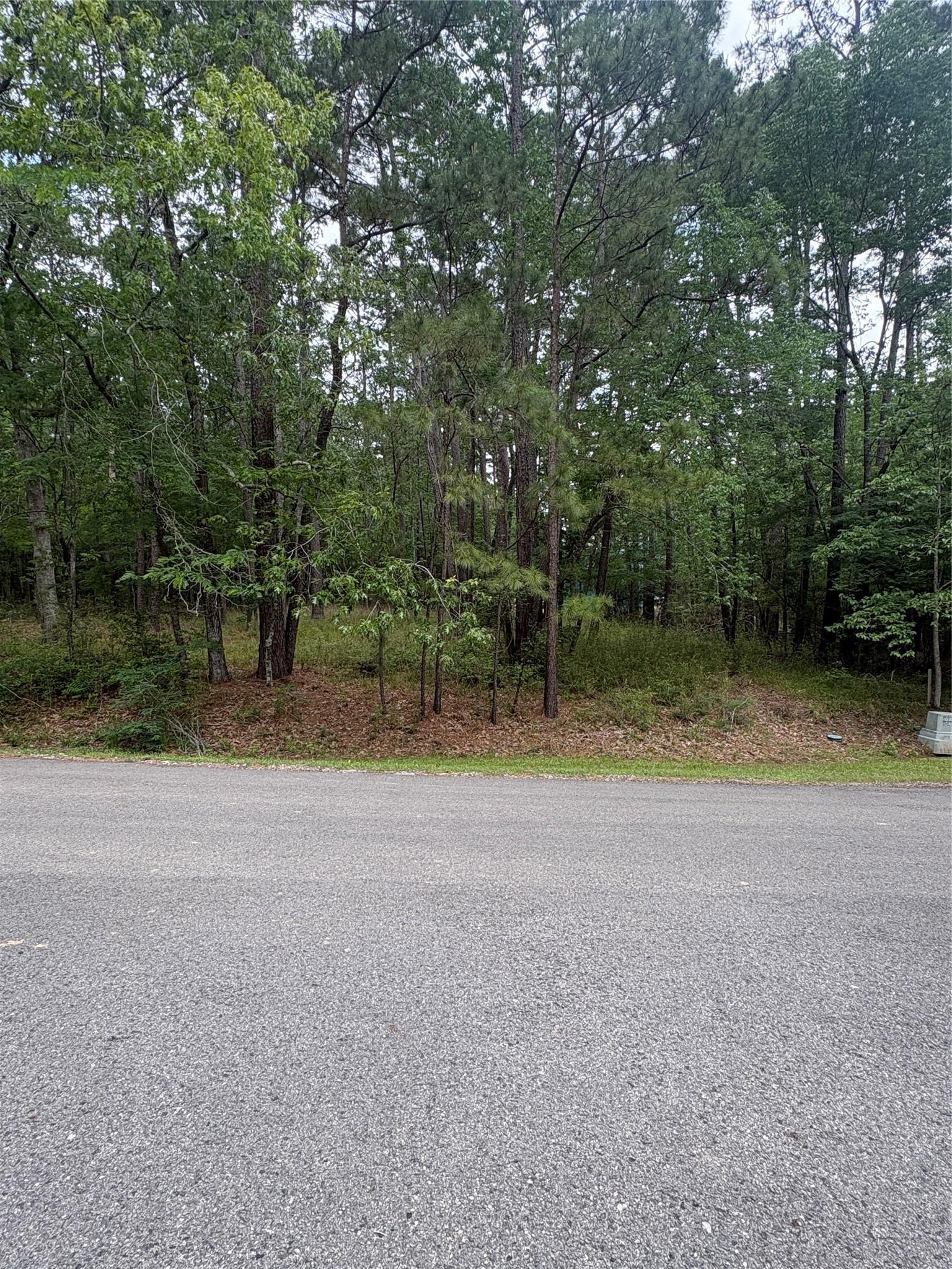 Image 1: 78 Wentworth Lane