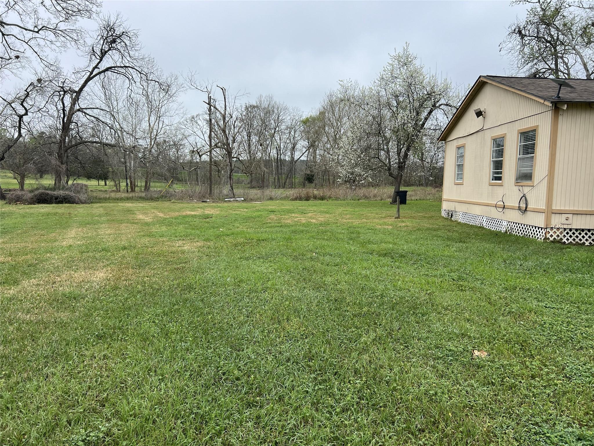 Image 4: Side yard