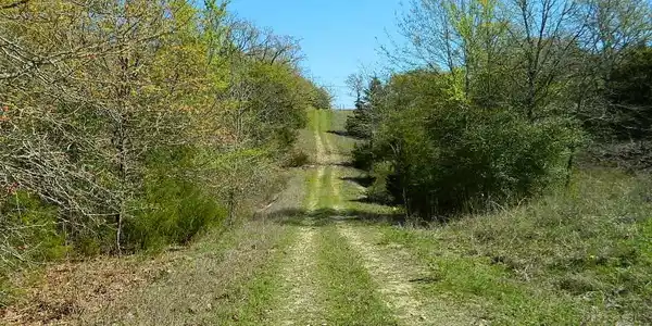 na CR 368
