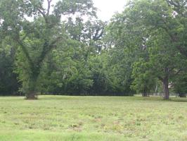 30602 Lower Oxbow Trace Lot 10