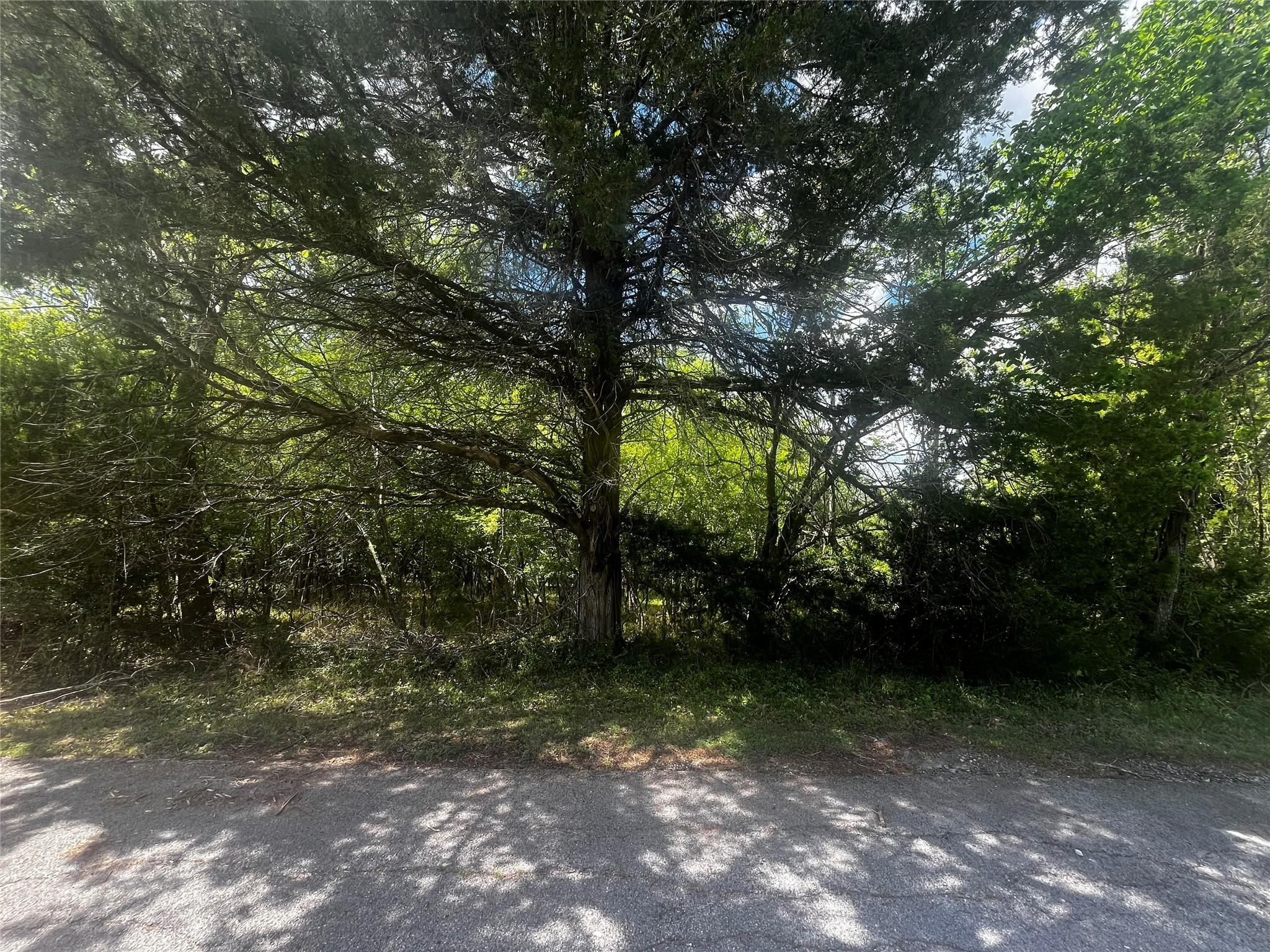 Image 2: 0.18 Acres / 7,876 SF