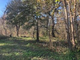 0 Sitka dr Drive