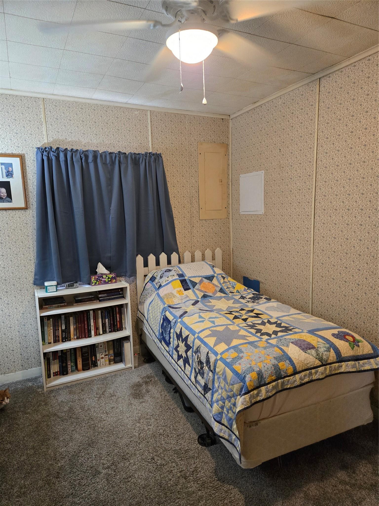 Image 4