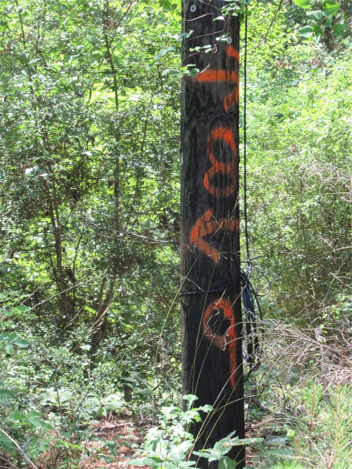 Image 2: Some of the lots are marked on these poles. Lot 8