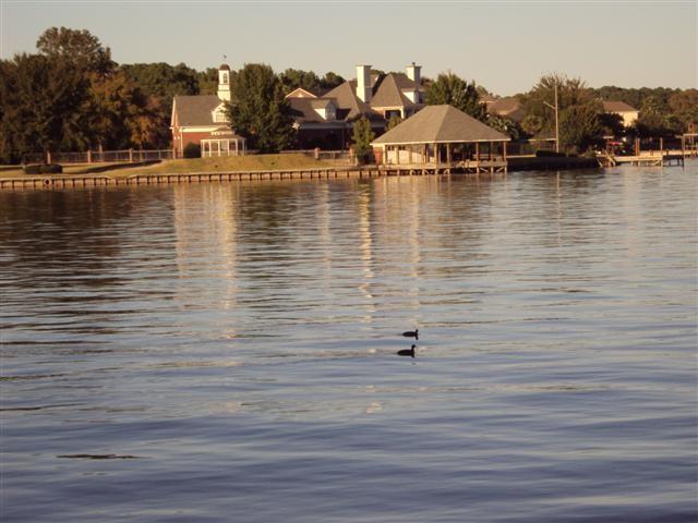 Image 2: Peacefull Lake Conroe