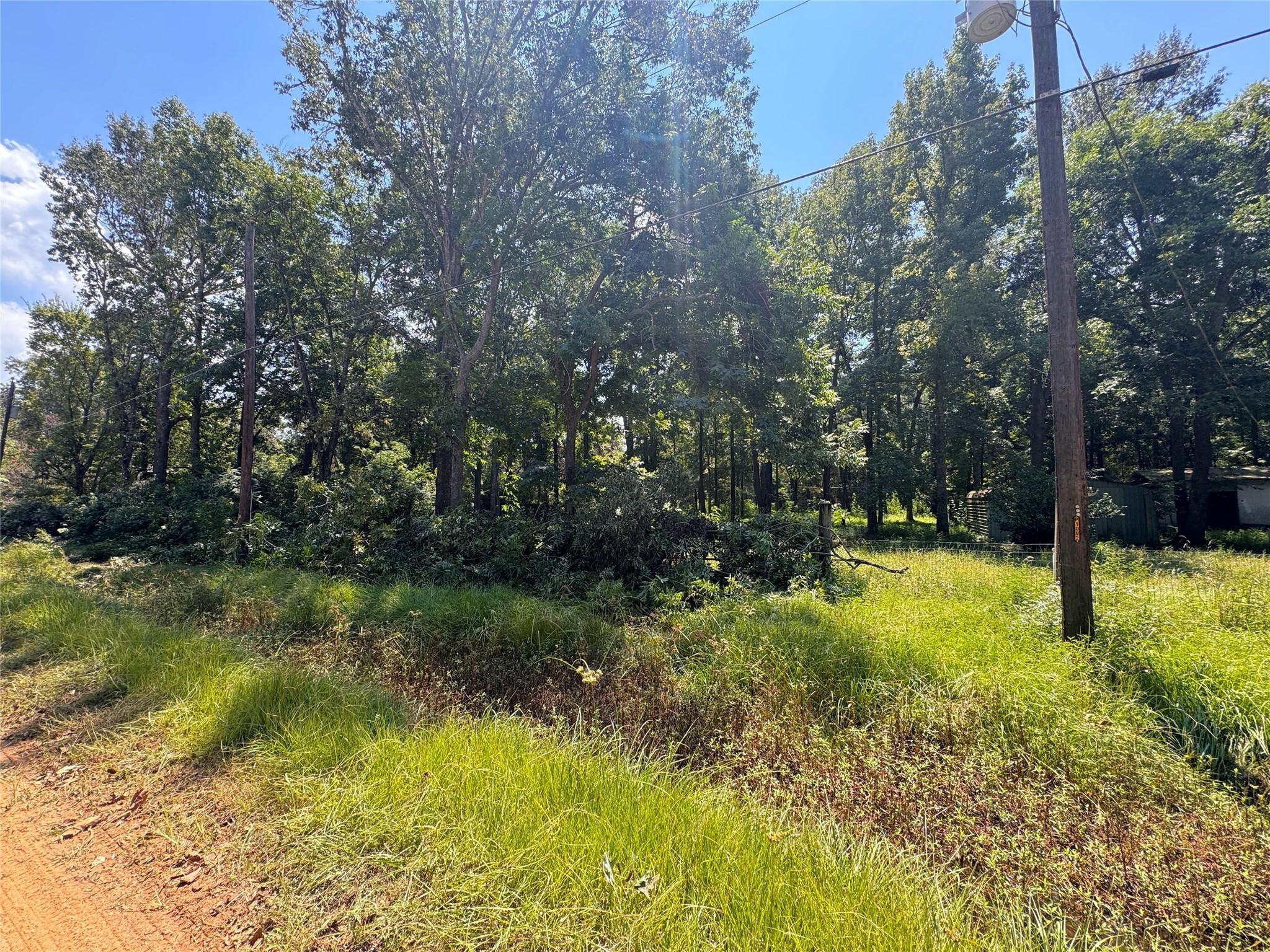 Image 1: 190 Mudd is 6 lots totaling around 3/4 of an acre.