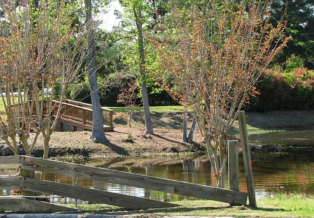 Image 4: Subdivision has this small pond for seniors and ch