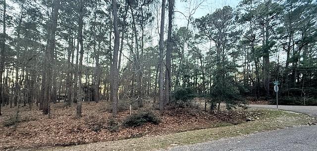 Image 4: Another view of the corner lot that has been parti