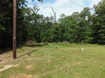 195 Moonlite Drive