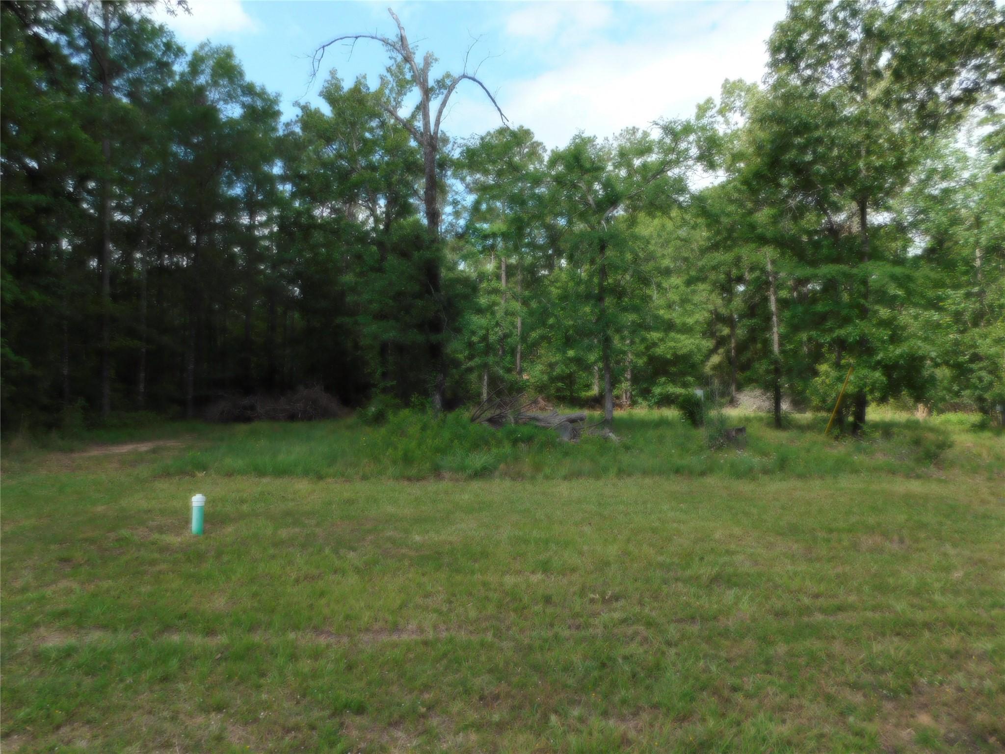 Image 2: Center of property