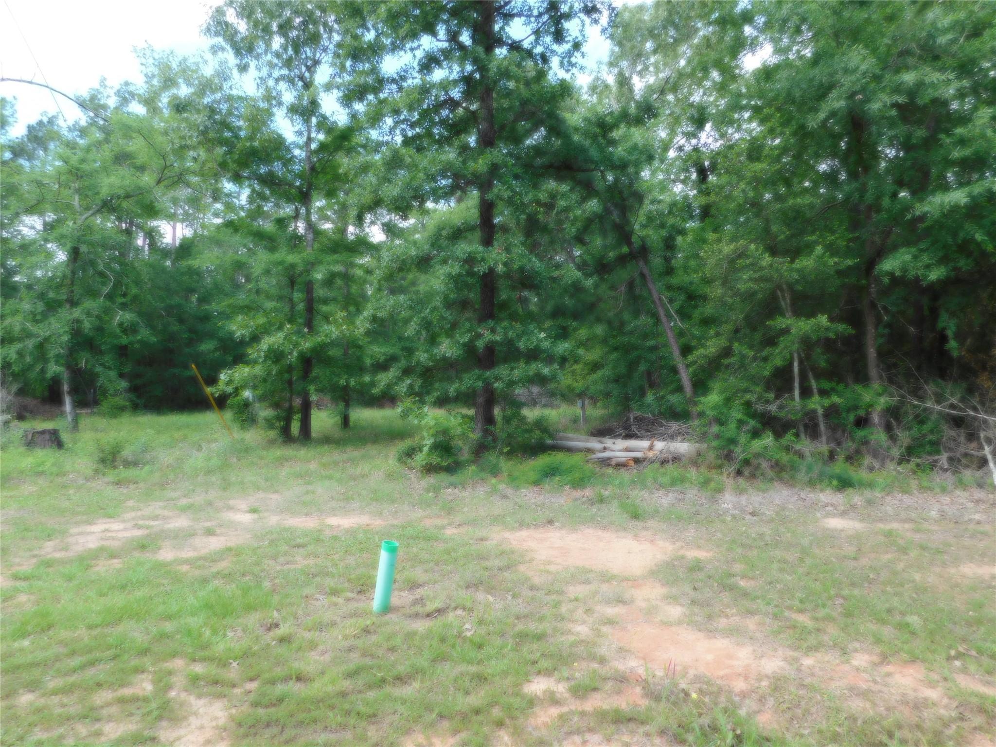 Image 3: Right side of property